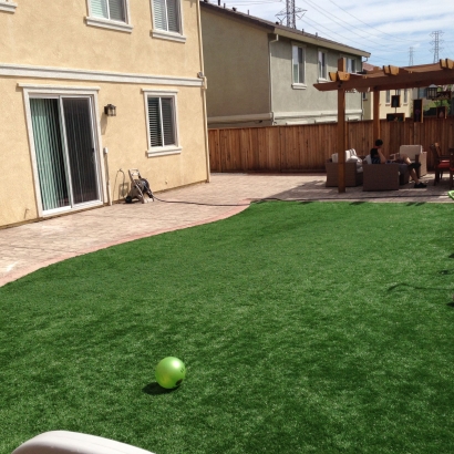 Lawn Services Marin City, California Lacrosse Playground, Beautiful Backyards