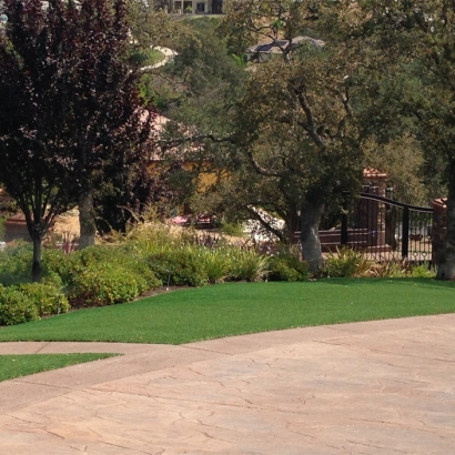 Lawn Services Petaluma, California Landscape Rock, Backyard