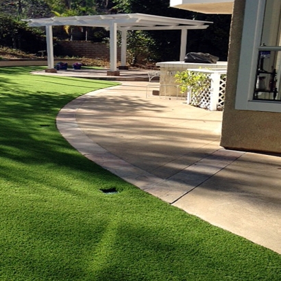 Lawn Services Pollock Pines, California Cat Playground, Front Yard Landscaping