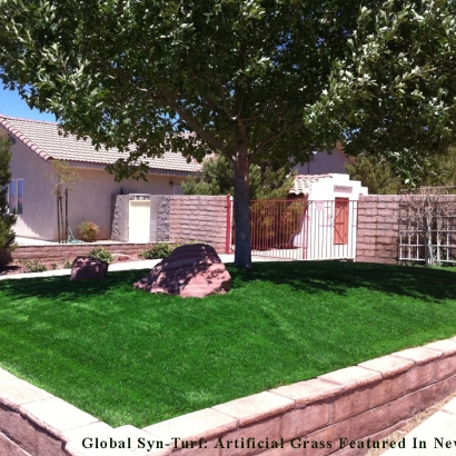 Outdoor Carpet Clarksburg, California Garden Ideas, Front Yard Design