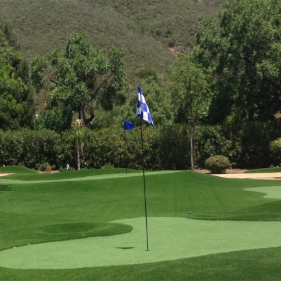 Outdoor Carpet Clearlake, California Golf Green