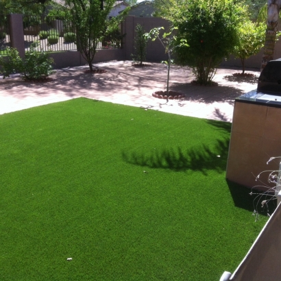 Outdoor Carpet Clearlake Oaks, California Hotel For Dogs, Backyard Makeover