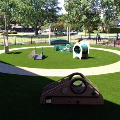 Outdoor Carpet Georgetown, California Roof Top, Commercial Landscape