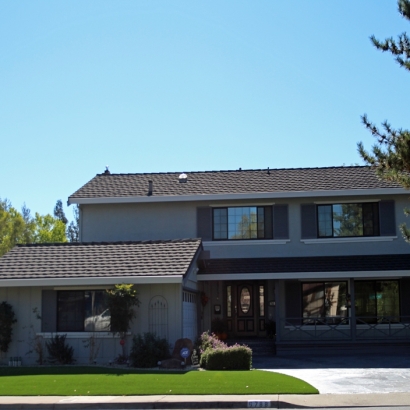 Outdoor Carpet Lincoln Village, California Garden Ideas, Front Yard Landscaping Ideas