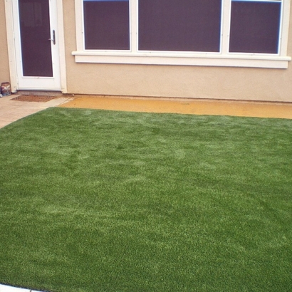 Outdoor Carpet Live Oak, California Lawn And Garden, Backyard Design