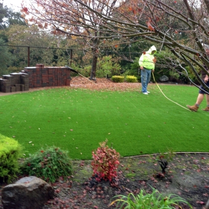 Outdoor Carpet Parkway, California Landscape Ideas, Backyard Ideas