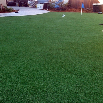 Outdoor Carpet Sheridan, California Artificial Putting Greens, Backyard Landscaping