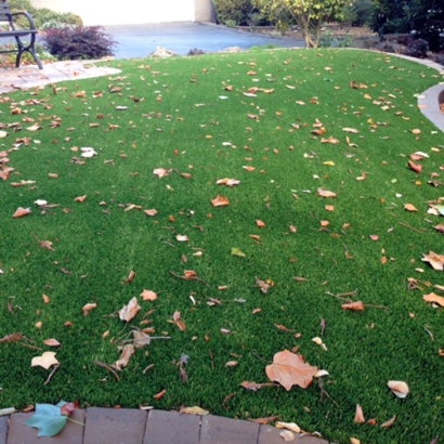 Outdoor Carpet Victor, California Paver Patio, Front Yard Landscape Ideas