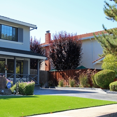 Outdoor Carpet Waterloo, California Lawn And Landscape, Front Yard Landscaping