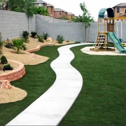 Plastic Grass Amador City, California Landscaping Business, Backyard Landscaping Ideas