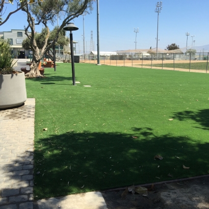 Plastic Grass East Sonora, California Landscaping Business, Parks
