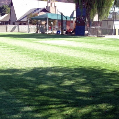 Plastic Grass Yolo, California Landscaping Business, Recreational Areas
