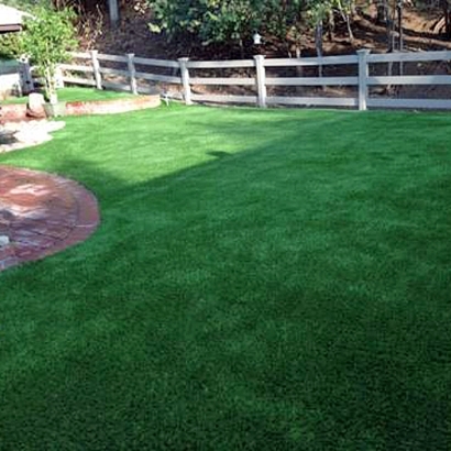 Synthetic Grass Arbuckle, California Grass For Dogs, Backyard Design