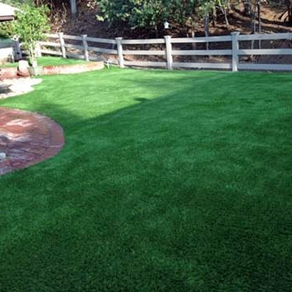 Synthetic Grass Arbuckle, California Grass For Dogs, Backyard Design