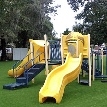 Synthetic Grass Challenge-Brownsville, California Lawn And Garden, Recreational Areas