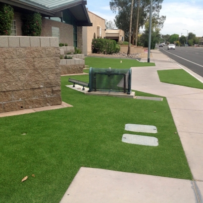Synthetic Grass Cost Bucks Lake, California Garden Ideas, Front Yard Design