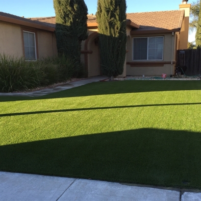 Synthetic Grass Emeryville, California Landscape Design, Front Yard Landscape Ideas