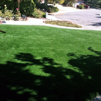 Synthetic Grass Florin, California Garden Ideas, Front Yard Landscaping Ideas