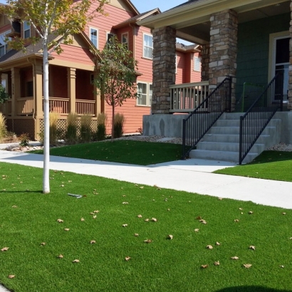 Synthetic Grass Orangevale, California Lawn And Garden, Front Yard Ideas