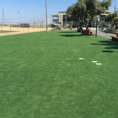 Synthetic Grass San Geronimo, California Lawns, Parks