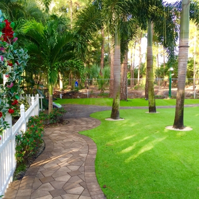 Synthetic Grass Sleepy Hollow, California Rooftop, Backyard Design