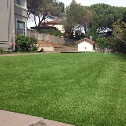 Synthetic Lawn Atherton, California Design Ideas, Backyard Designs