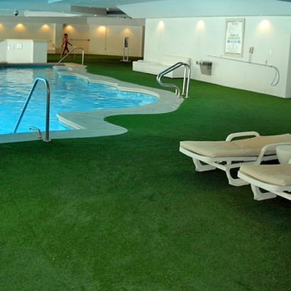 Synthetic Lawn Buena Vista, California Lawn And Garden, Kids Swimming Pools