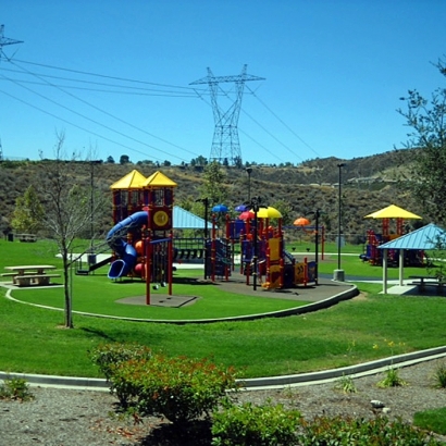 Synthetic Lawn Courtland, California Home And Garden, Recreational Areas