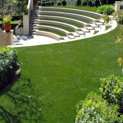 Synthetic Lawn Dogtown, California Design Ideas