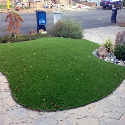 Synthetic Lawn Placerville, California Landscaping