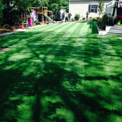 Synthetic Turf Ceres, California Rooftop, Beautiful Backyards