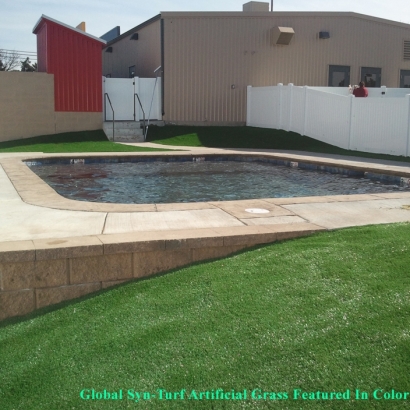 Synthetic Turf Davis, California Gardeners, Above Ground Swimming Pool