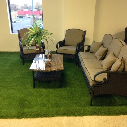 Synthetic Turf Georgetown, California Design Ideas, Commercial Landscape