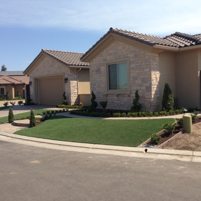 Synthetic Turf Newman, California Design Ideas, Front Yard Landscaping Ideas