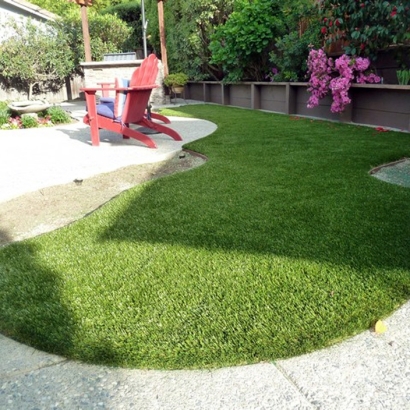 Synthetic Turf Supplier Fairview, California Artificial Turf For Dogs, Backyard Design