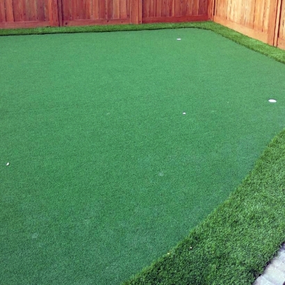 Synthetic Turf Supplier Fiddletown, California City Landscape, Backyard Design