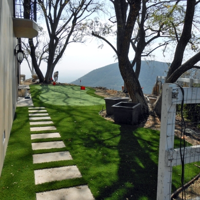 Synthetic Turf Supplier Upper Lake, California Putting Green, Backyard Designs