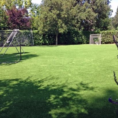 Synthetic Turf Walnut Creek, California High School Sports, Backyard