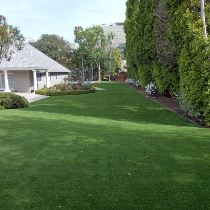 Synthetic Turf Woodacre, California City Landscape, Front Yard Landscaping Ideas