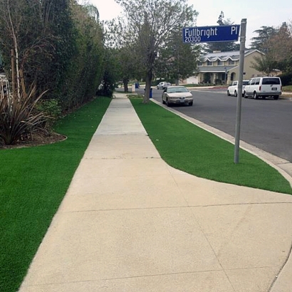 Turf Grass Courtland, California Landscaping Business, Front Yard Landscape Ideas