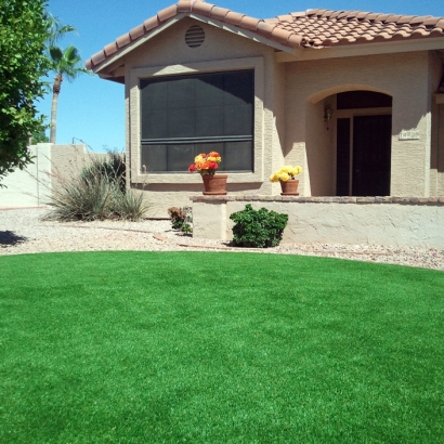 Turf Grass Elk Grove, California Rooftop, Front Yard Landscaping Ideas