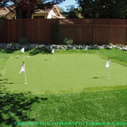 Turf Grass Elverta, California Backyard Putting Green, Beautiful Backyards