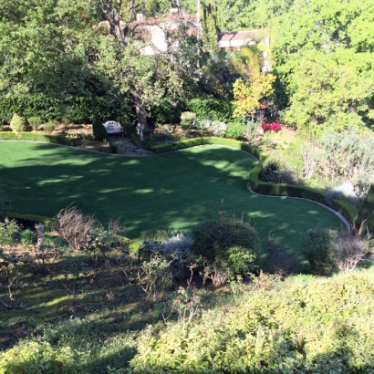 Turf Grass Modesto, California Lawns, Backyard Makeover