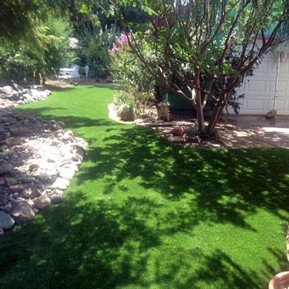 Turf Grass Nicolaus, California Landscape Ideas, Backyard
