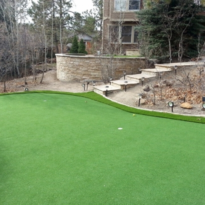 Turf Grass North San Juan, California Indoor Putting Greens, Backyard Garden Ideas