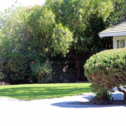 Turf Grass River Pines, California Lawn And Garden, Front Yard Landscaping Ideas