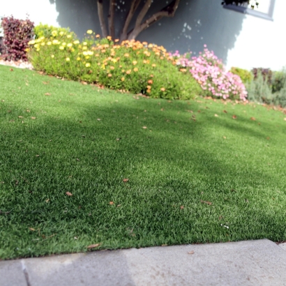 Turf Grass Stockton, California Garden Ideas, Front Yard Landscaping
