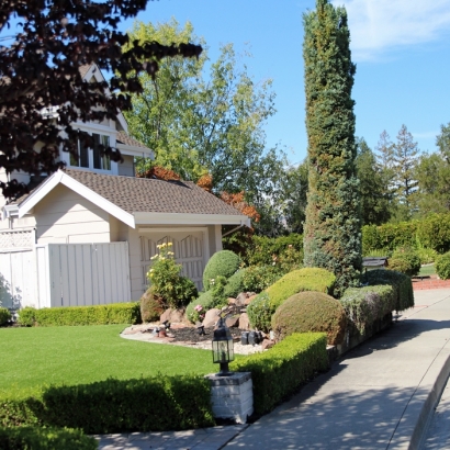 Turf Grass Vallecito, California Garden Ideas, Front Yard Landscape Ideas