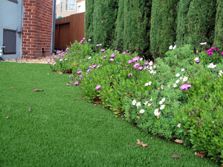 Artificial Grass Carpet Fetters Hot Springs-Agua Caliente, California Landscape Photos, Front Yard Landscaping