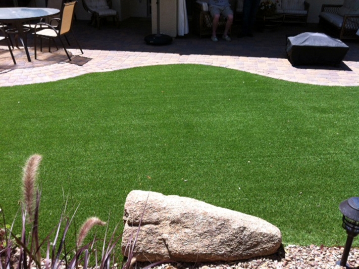 Artificial Grass Carpet Half Moon Bay, California Gardeners, Backyard Designs